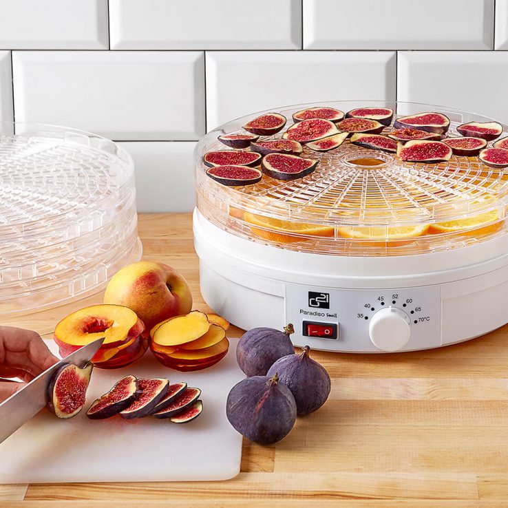 G21_dehydrator_paradiso_small_4031